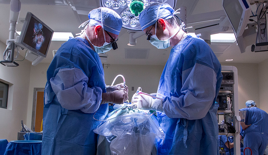 Le Bonheur neurosurgeons conduct neurosurgery as an option for treating pediatric epilepsy.